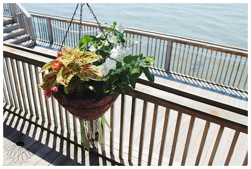 little miss lovely // ocean city md wedding florist // hanging basket with wedding colors // the sunset room